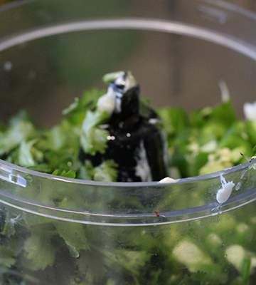 Cilantro Blender